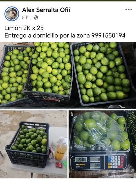 Venta de limones a domicilio en Mérida