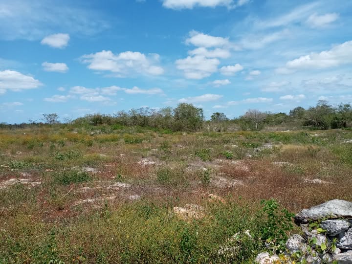 Lotes de 10x80 en Homún, Yucatán