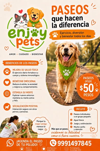 Estética Canina y Felina a Domicilio en Mérida
