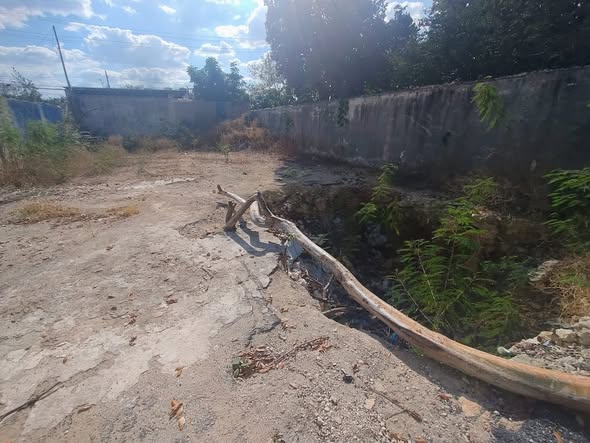 Terreno en Venta sobre Av. Canek, Mérida