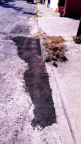 TAPA BACHES