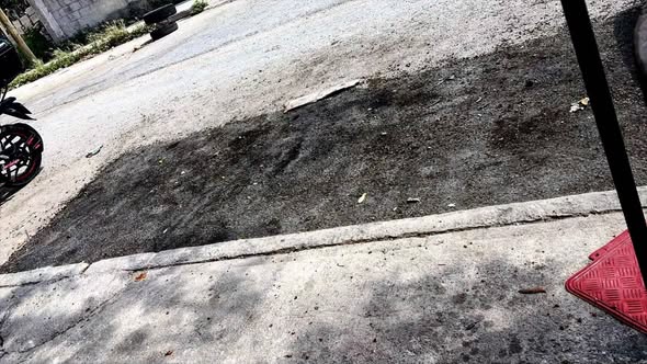 TAPA BACHES
