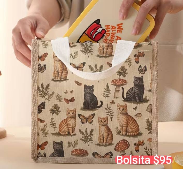 Accesorios para Gatos