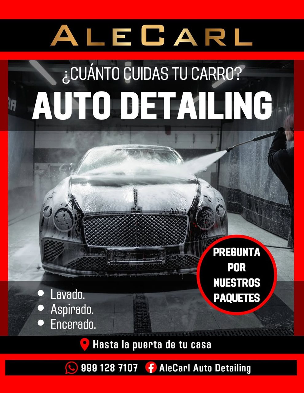 AleCarl Auto Detailing