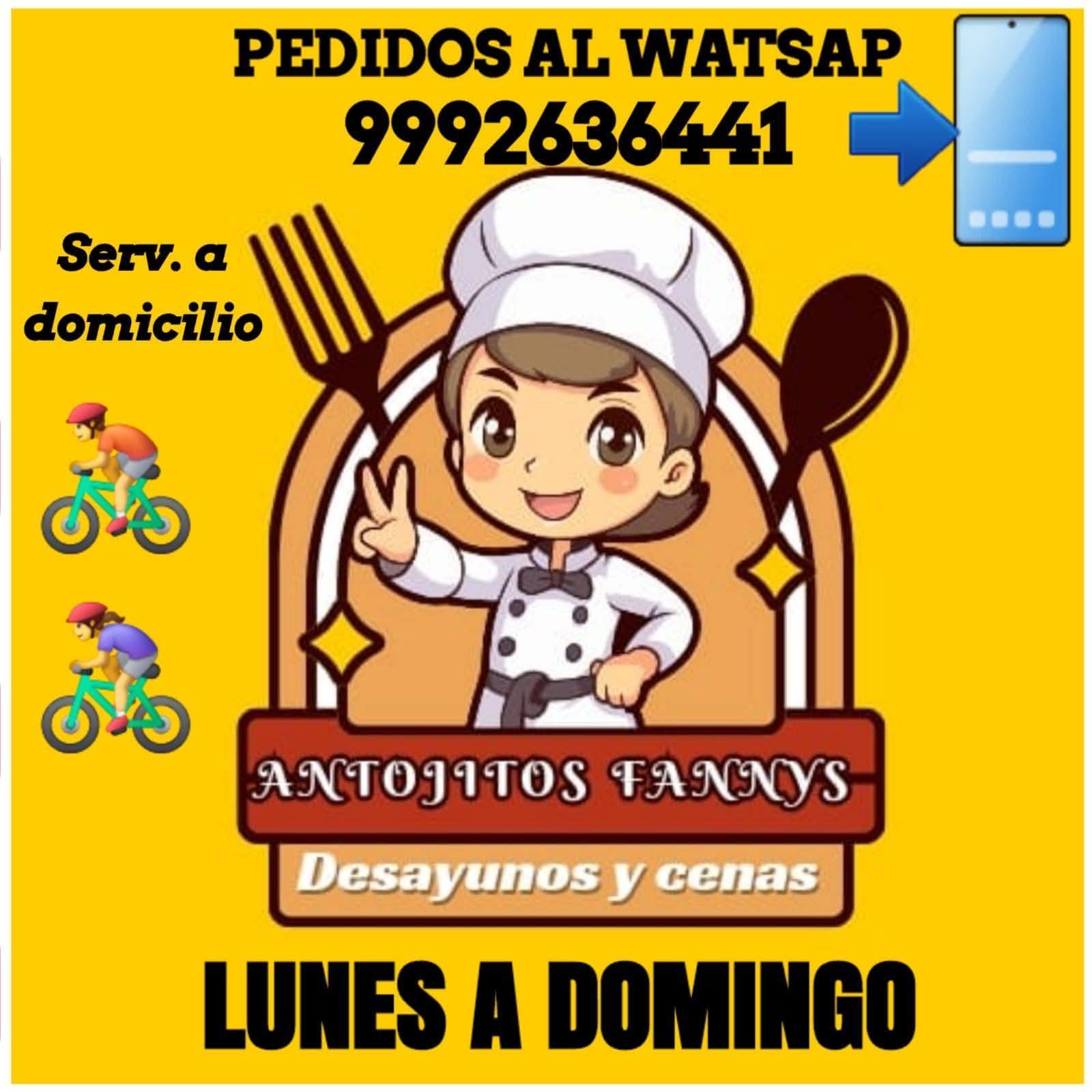 Antojitos Fannys: Antojitos y guisos, panuchos, salbutes y más a domicilio