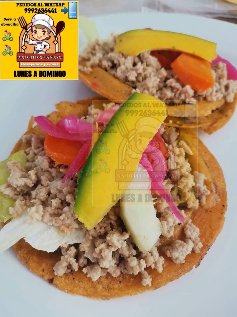 Antojitos Fannys: Antojitos y guisos, panuchos, salbutes y más a domicilio