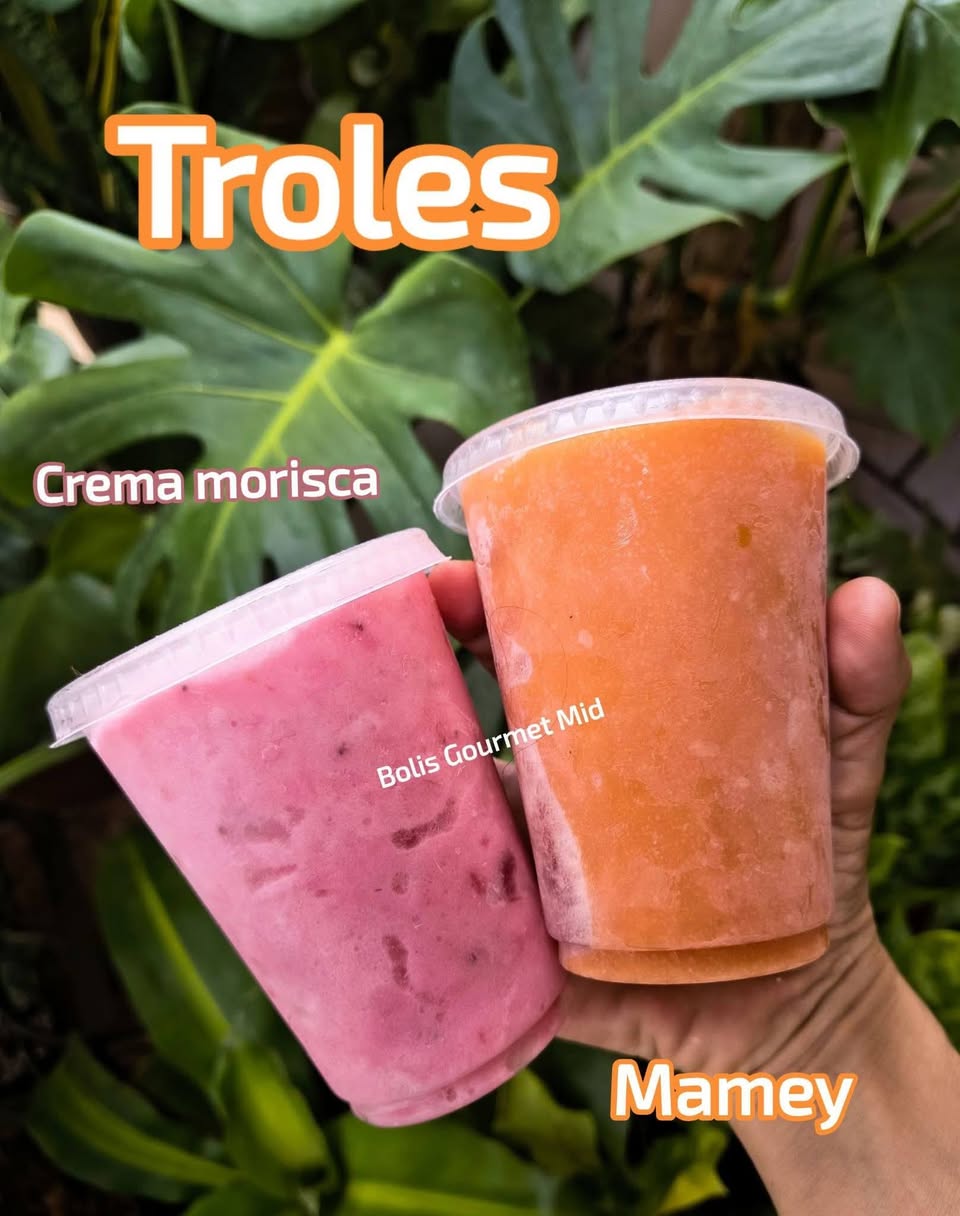 Bolis Gourmet Artesanales