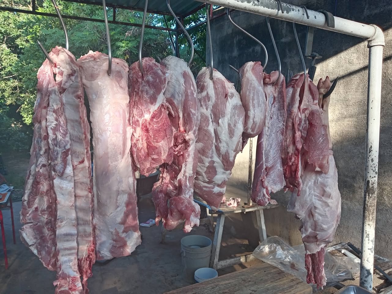 Carnicería Don As, especializada en carne de puerco, chicharra y morcilla