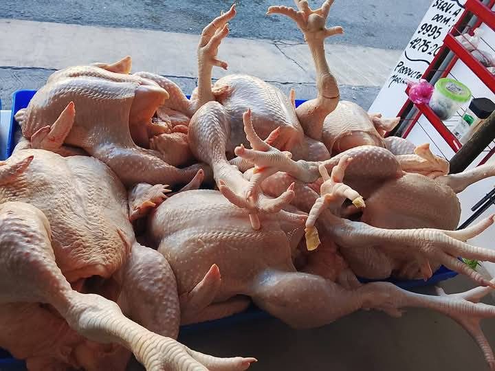 Carnicería y Pollería La Granja