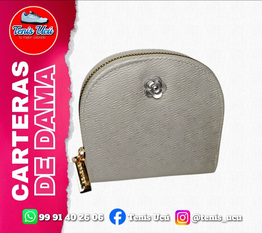 Carteras de Dama con Correa y Compartimentos para Monedas y Billetes en Yucatán