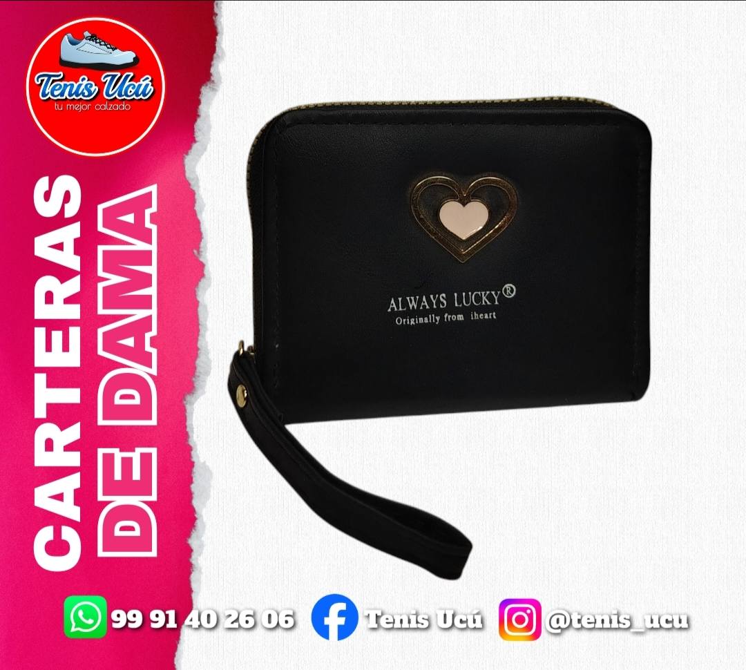 Carteras de Dama con Correa y Compartimentos para Monedas y Billetes en Yucatán