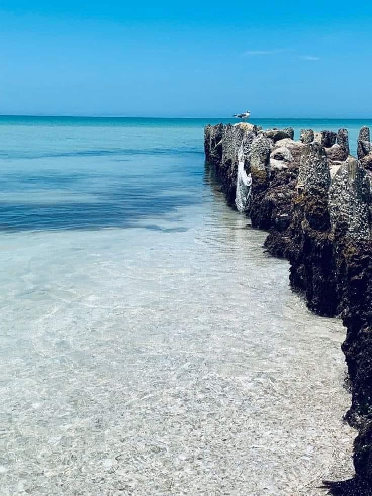Casa de Lujo para 14 Personas en Playa de Chelem, Yucatán