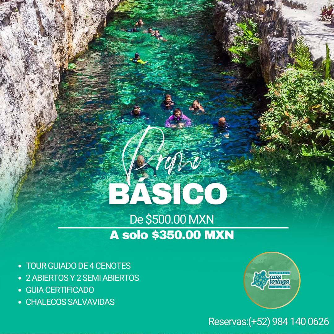 Cenotes Casa Tortuga Tulum: 4 Cenotes Naturales en la Riviera Maya
