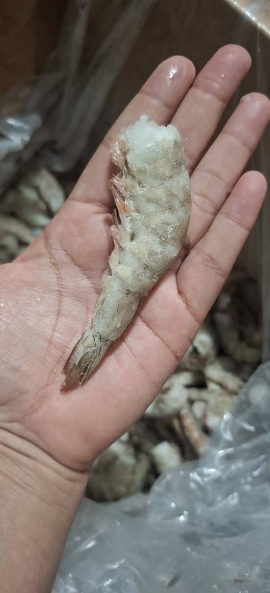 Citlalli Peraza — Mulsay