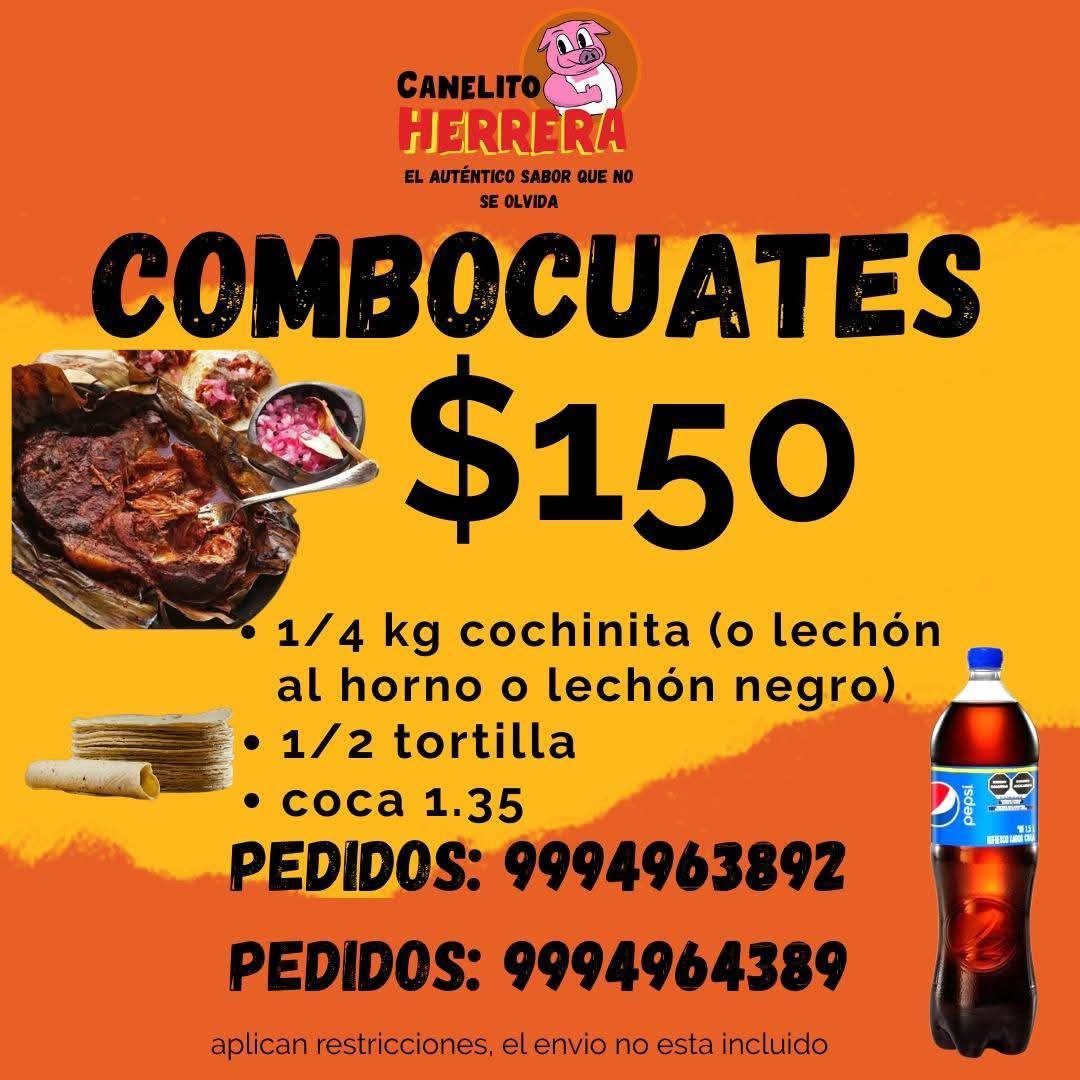 Cochinita pibil lechon y carne asada