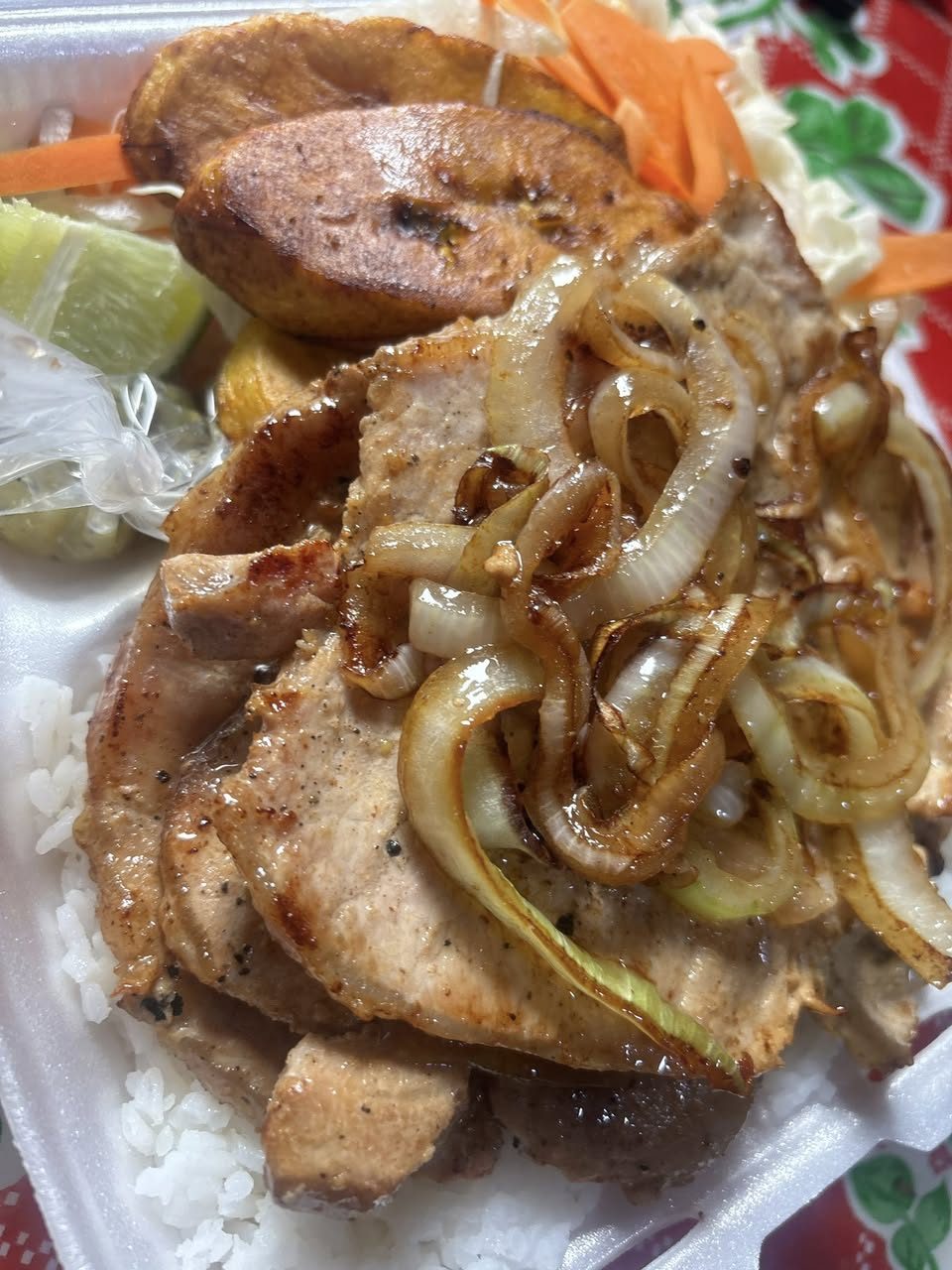 Platillo de comida criolla con carne guisada, cebollitas y arroz.