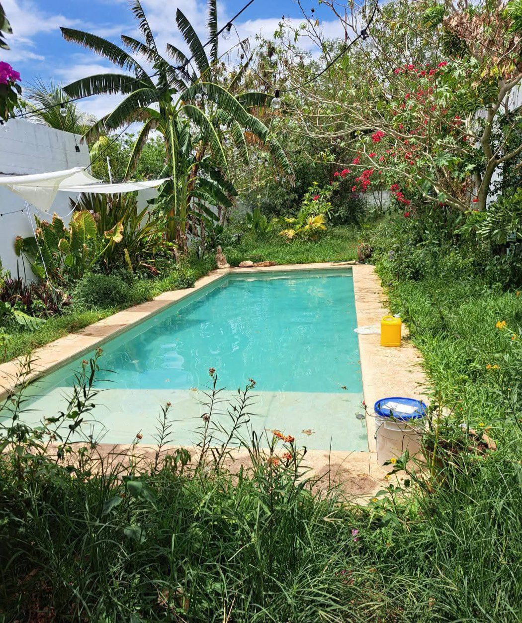 Confort CLEAN POOL — Cholul