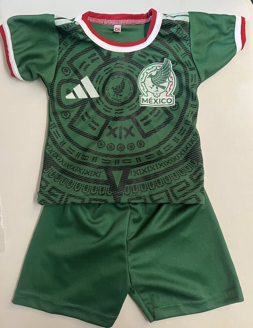 Conjunto Infantil de Moda: Shorts y Playera para Niños en la Segunda Etapa
