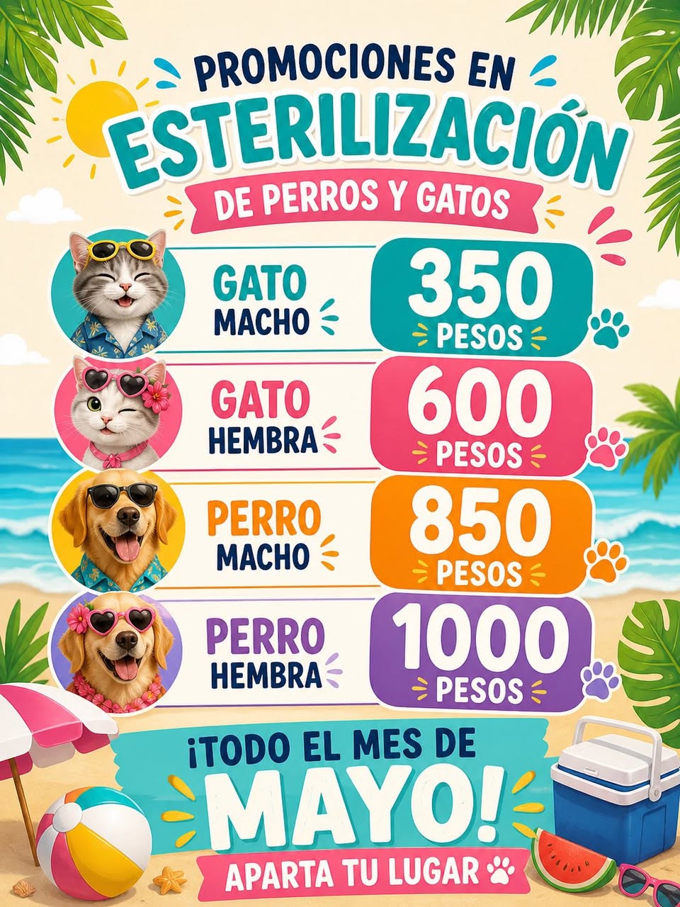 Consultorio Veterinario Frankie Vet: Medicina Preventiva, Cirugía y Dermatología