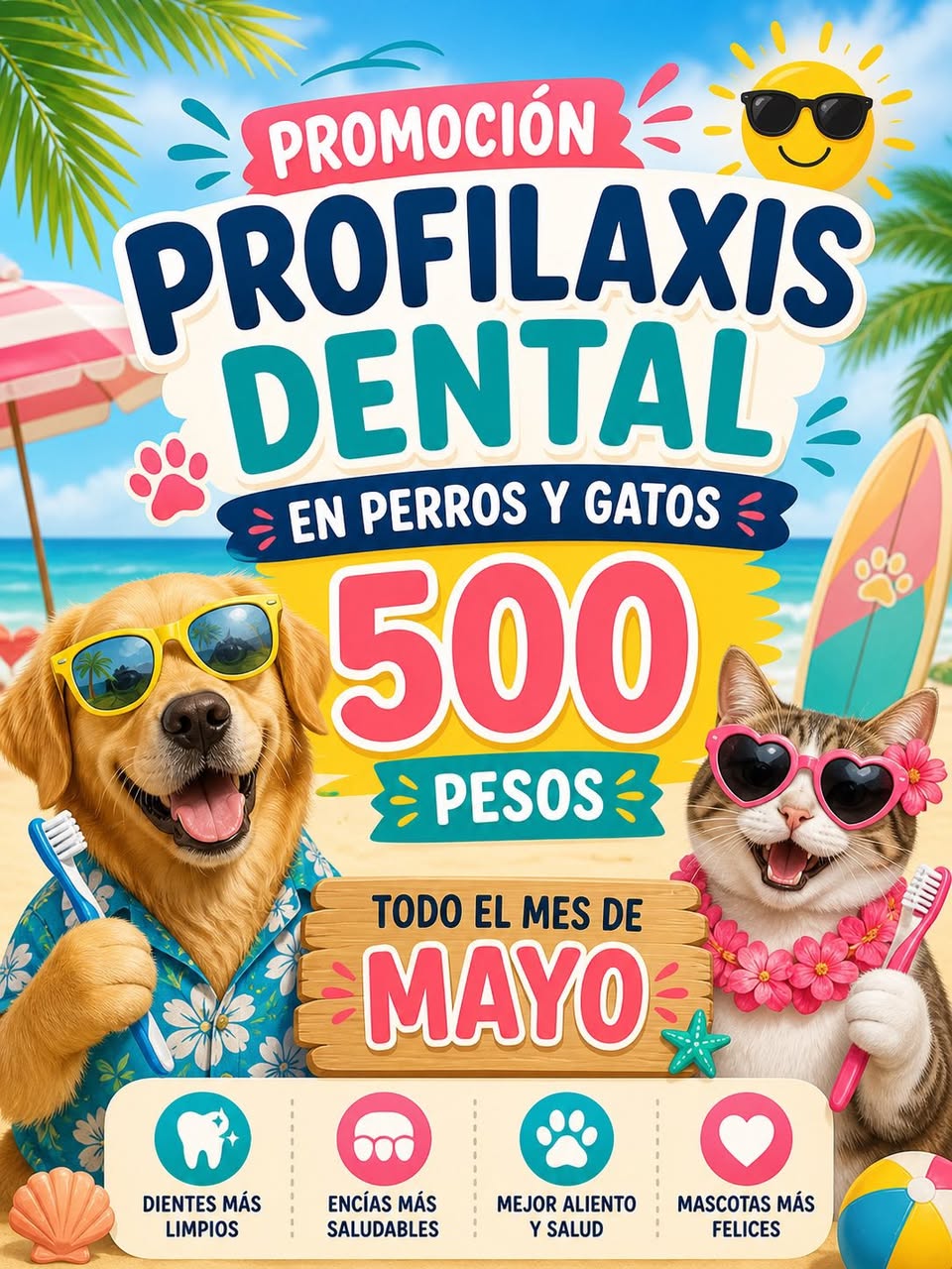 Consultorio Veterinario Frankie Vet: Medicina Preventiva, Cirugía y Dermatología