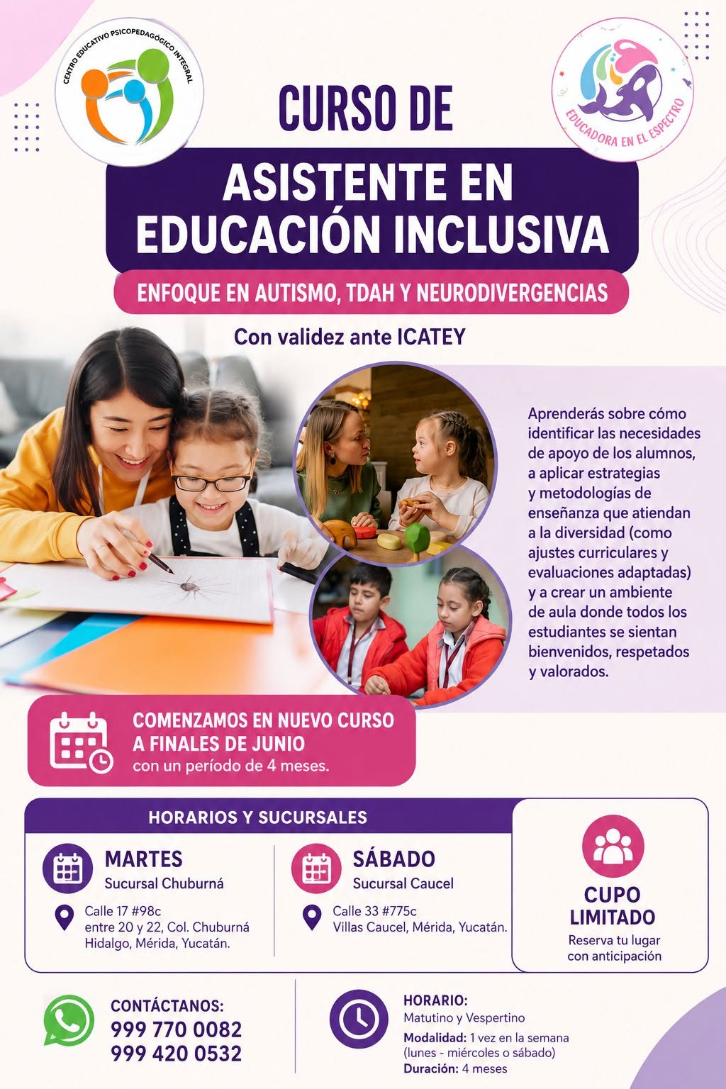 Curso de Asistente en Educación Inclusiva