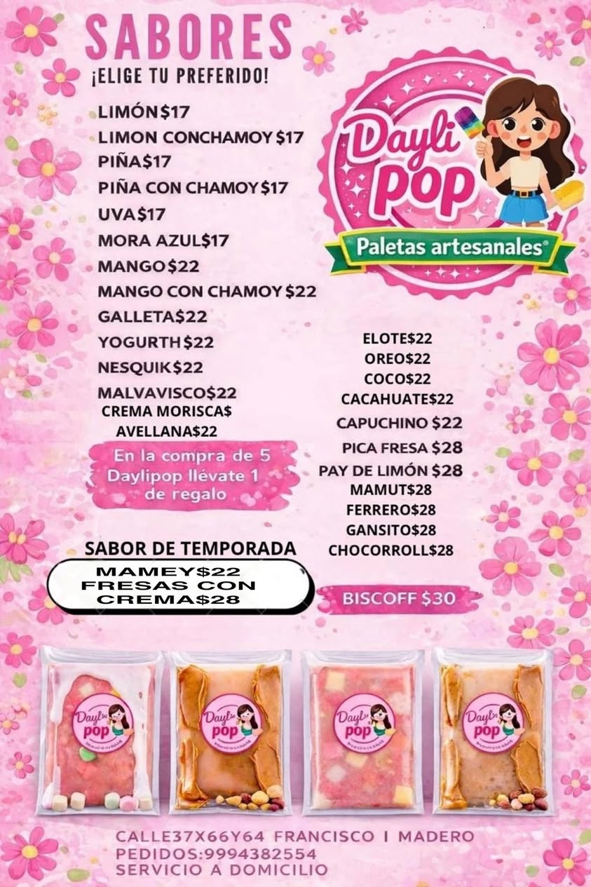 Daylipop Paletas Artesanales