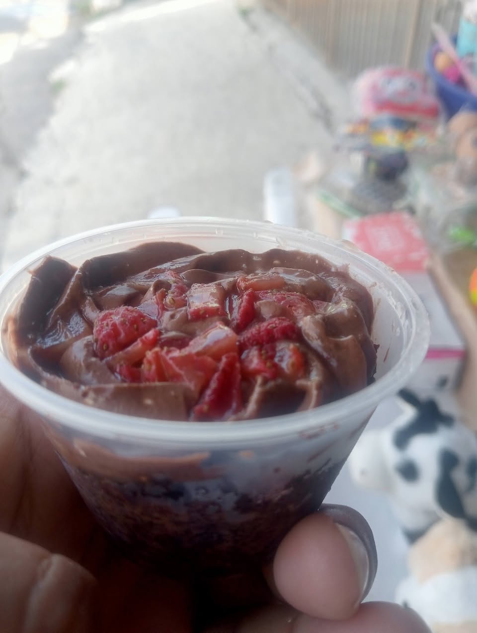 Desayunos y Antojitos Yucatecos Doña Rost