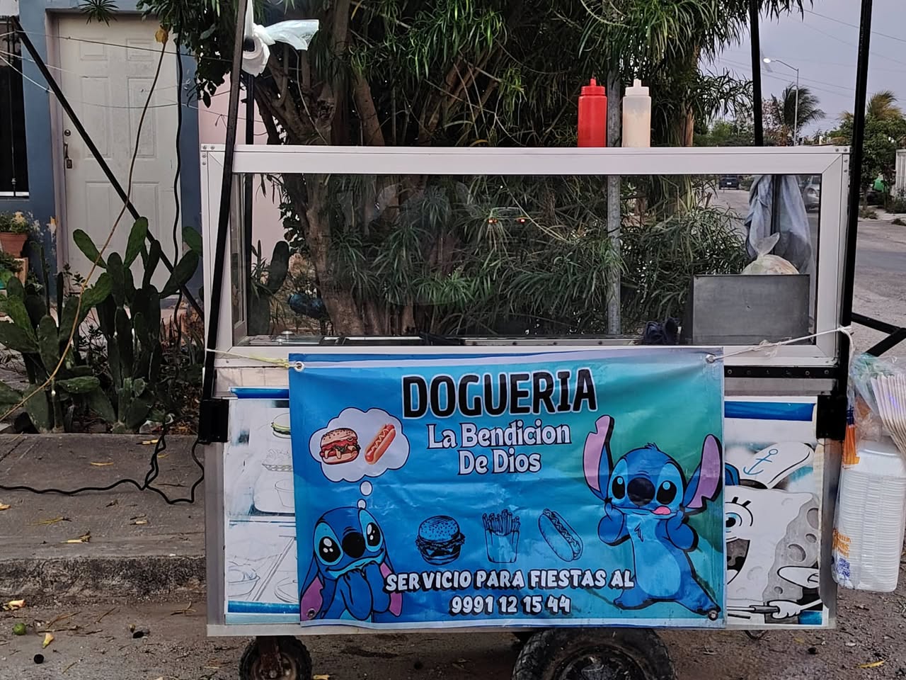 Doguería La Bendición de Dios