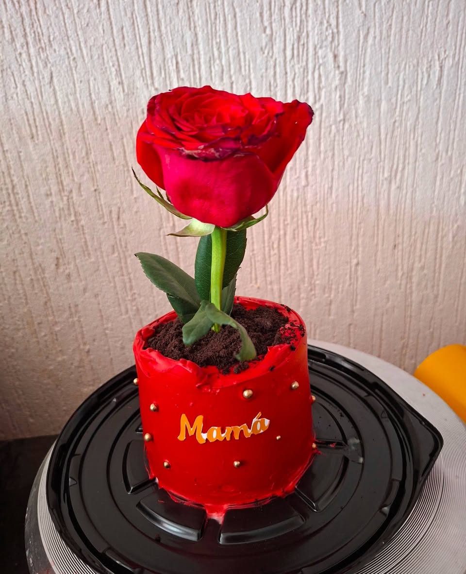 Dulce Recuerdo Pasteles