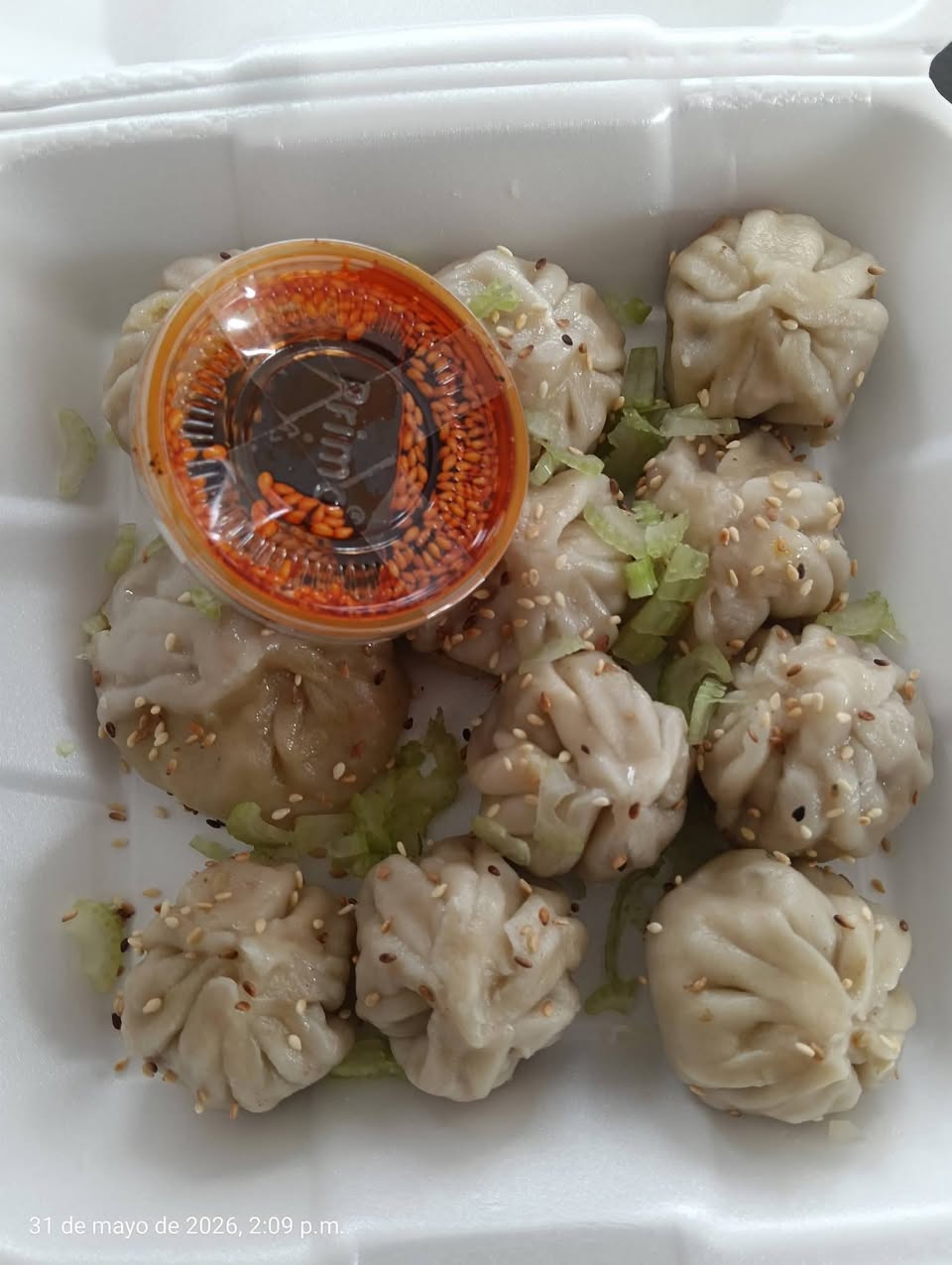 Dumplins Caseros a Domicilio