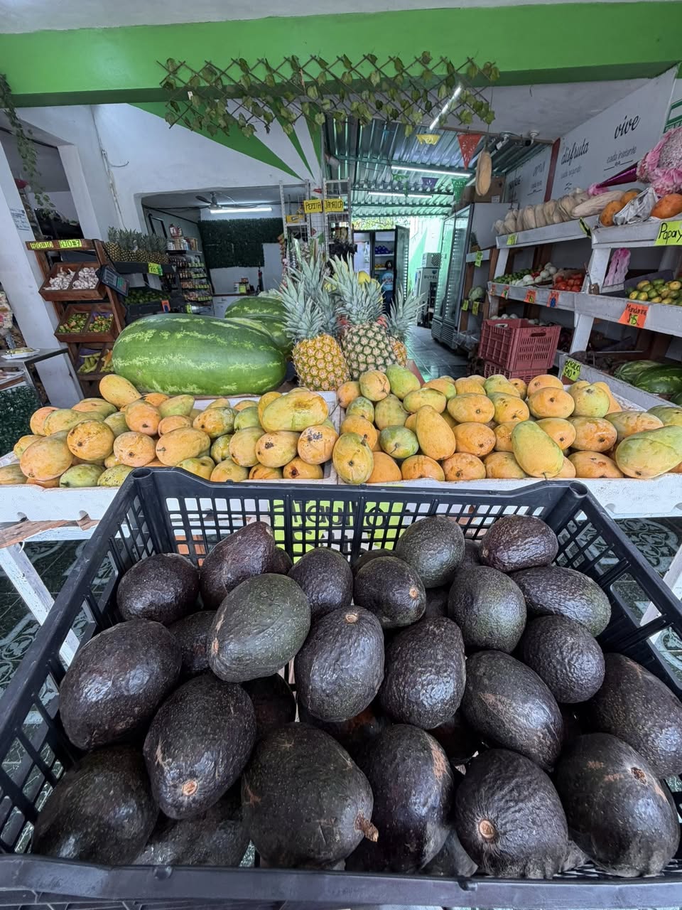 Envíos a Domicilio de Frutas Frescas y Jugos Naturales hasta las 3 pm