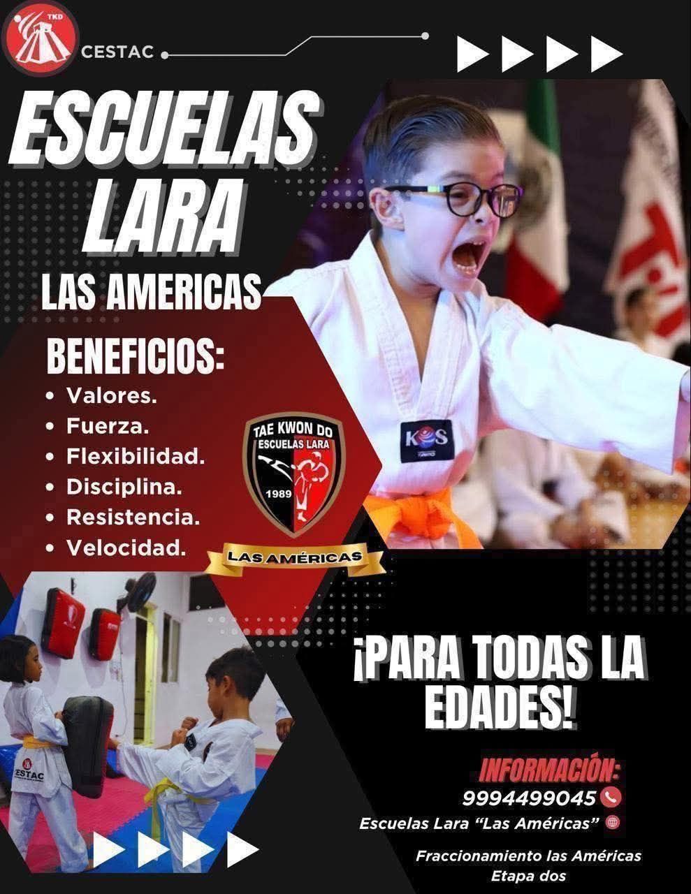 Escuelas Lara Las Américas: Clases de Taekwondo para niños a partir de 3 años