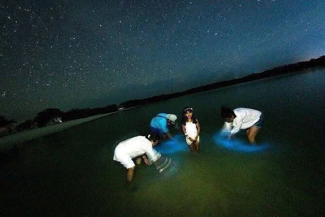 Experiencia de Bioluminiscencia Nocturna en San Felipe, Yucatán