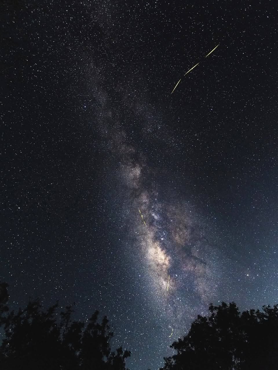 Experiencia de Bioluminiscencia Nocturna en San Felipe, Yucatán