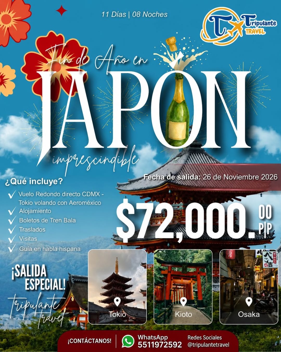 Experiencia inolvidable de 11 días en Japón: Tokio, Kioto y Osaka