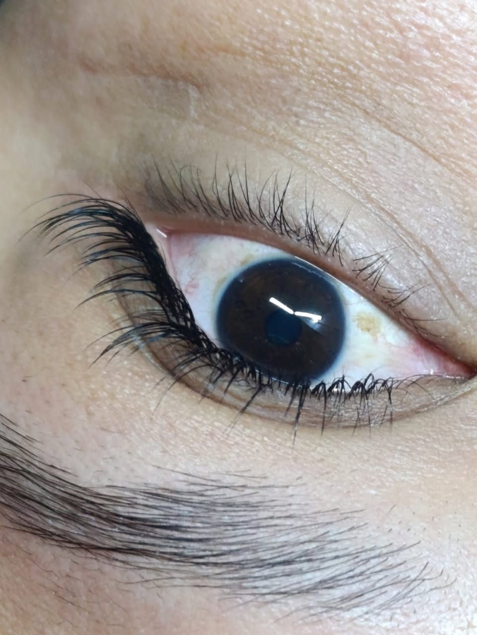 Extensiones de pestañas y laminado de cejas