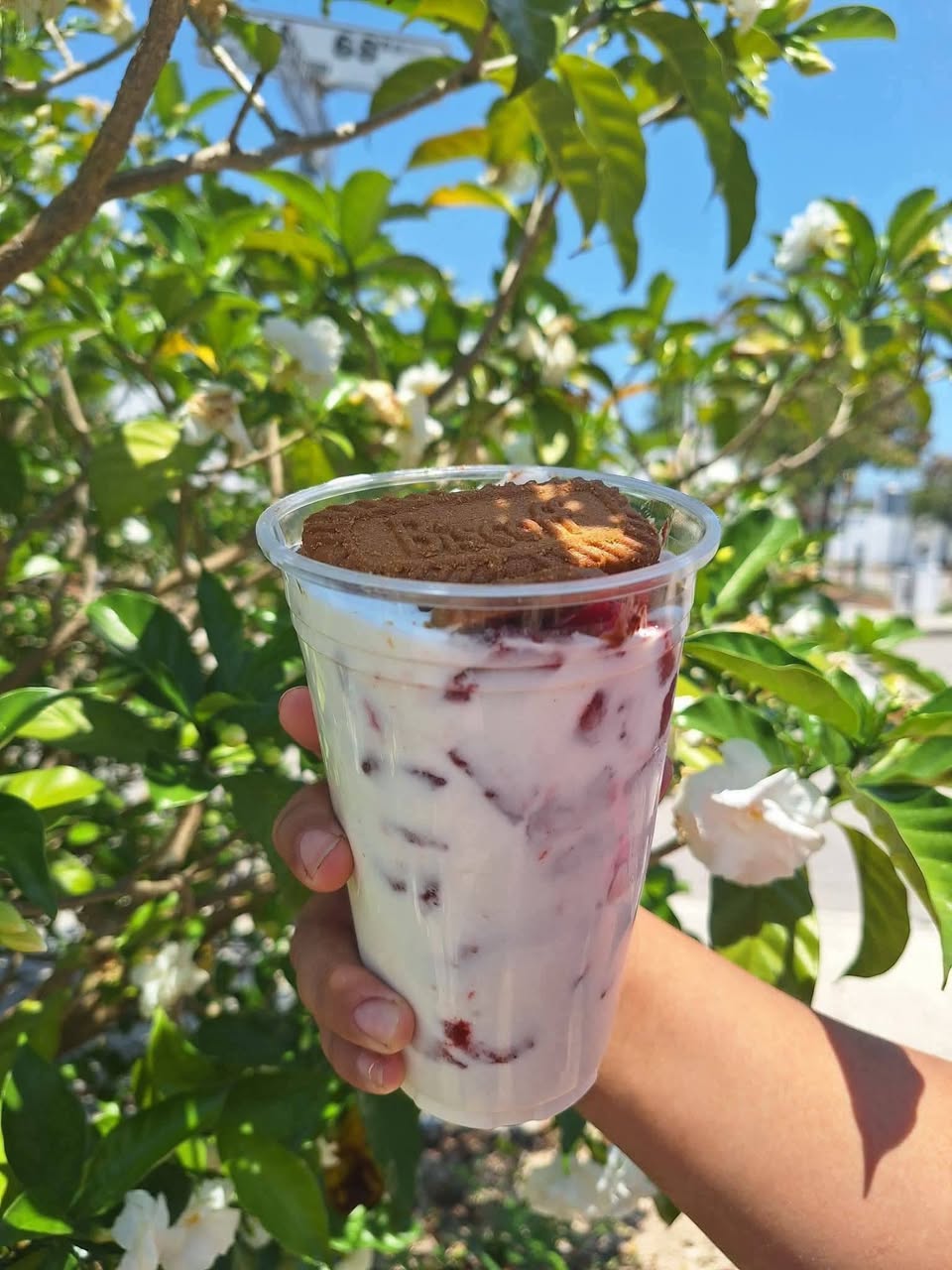 Fresas con Crema y Postres Artesanales