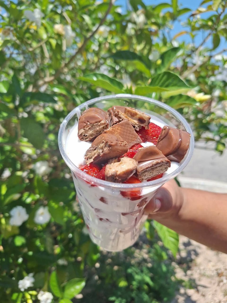 Fresas con Crema y Postres Artesanales