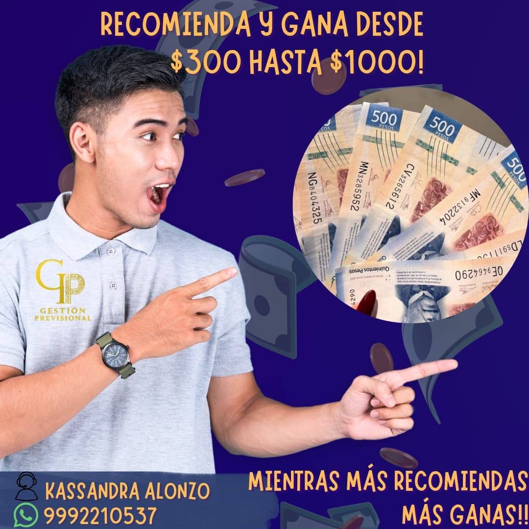 Gestión Previsional