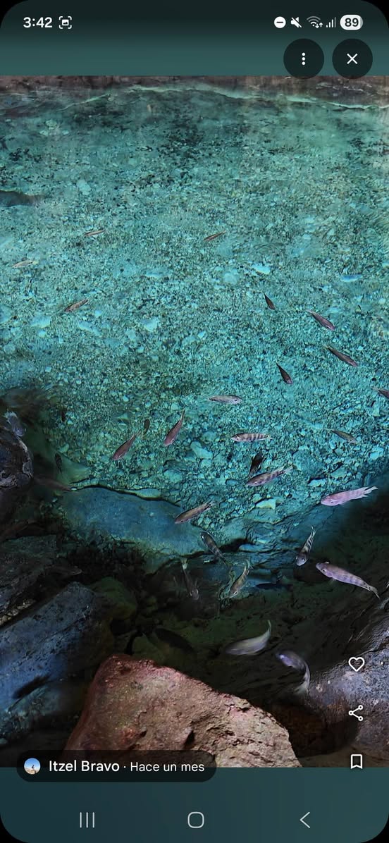 Guías Locales de los Impresionantes Cenotes de Homún en Yucatán