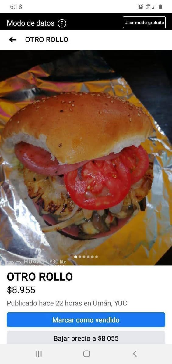 Hamburguesas y Hotdogs Especiales: ¡El Sabor de Yucatán te Espera!