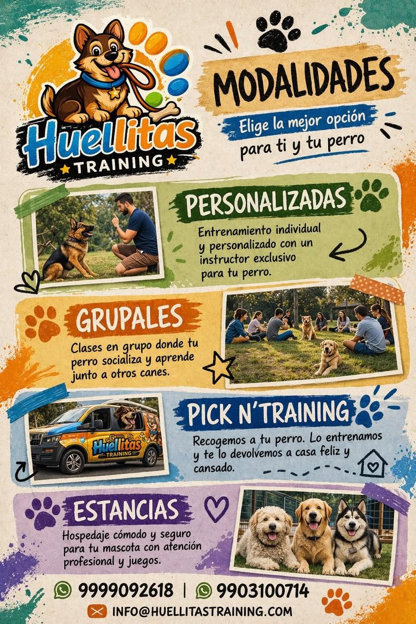 Huellitas Training