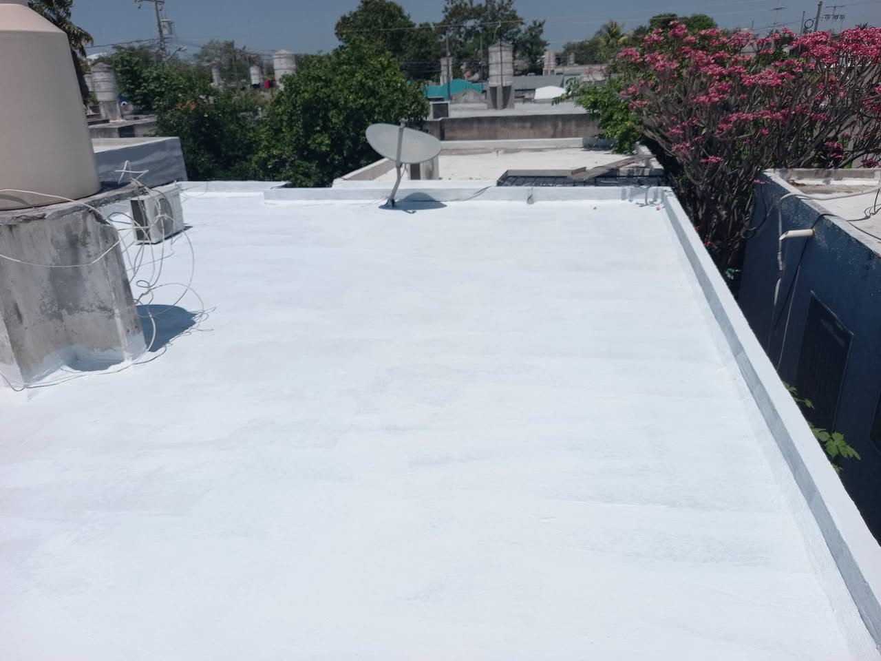 Johnny Alonso - Reparaciones del Hogar
