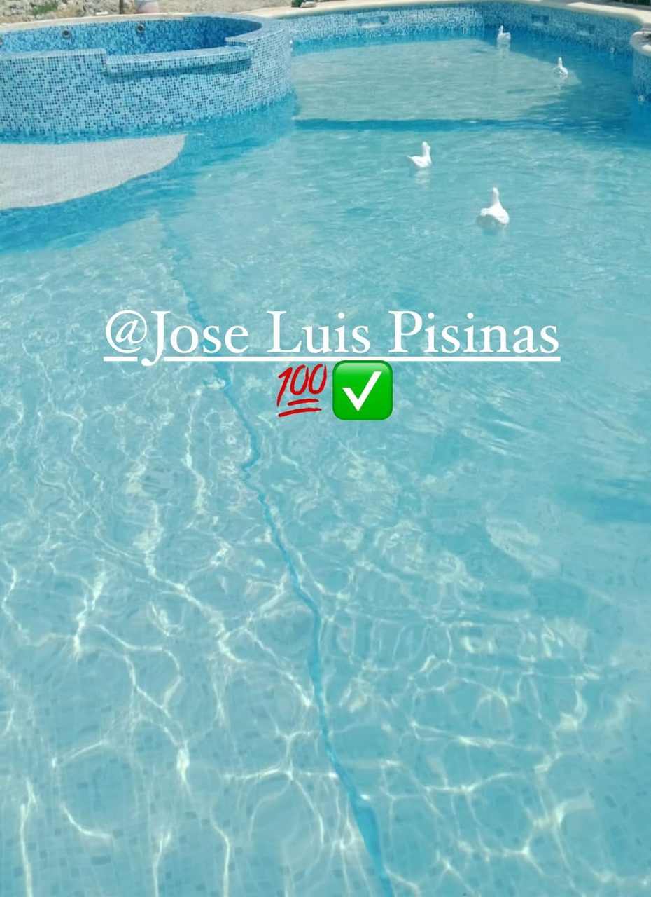 Jose Luis Pisinas — Cholul