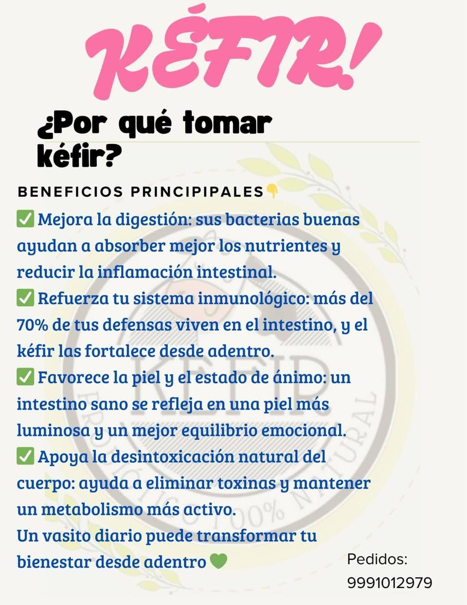 Kéfir bebida fermentada casera