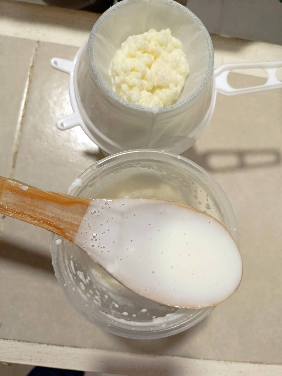Kéfir bebida fermentada casera