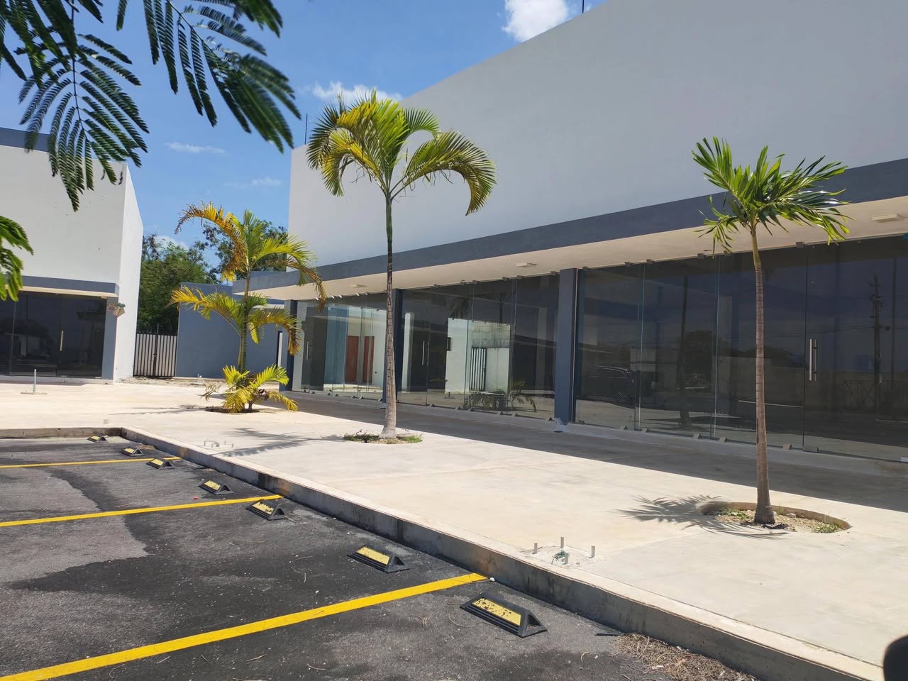 Locales Comerciales en Renta Conkal