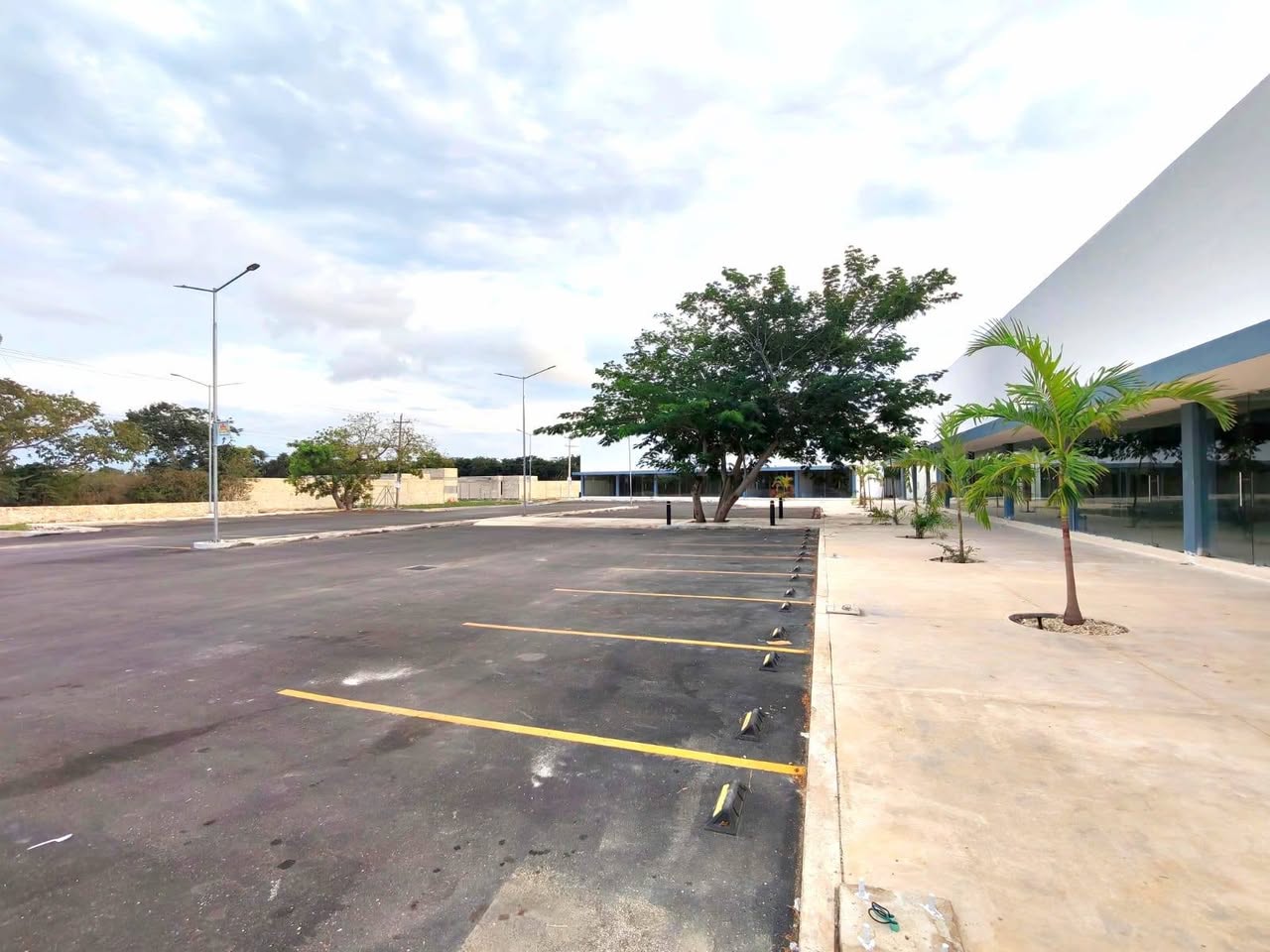 Locales Comerciales en Renta Conkal