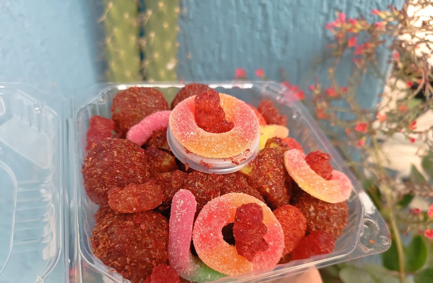 Los Ositos Enchilados en Flotador Sabor Durazno