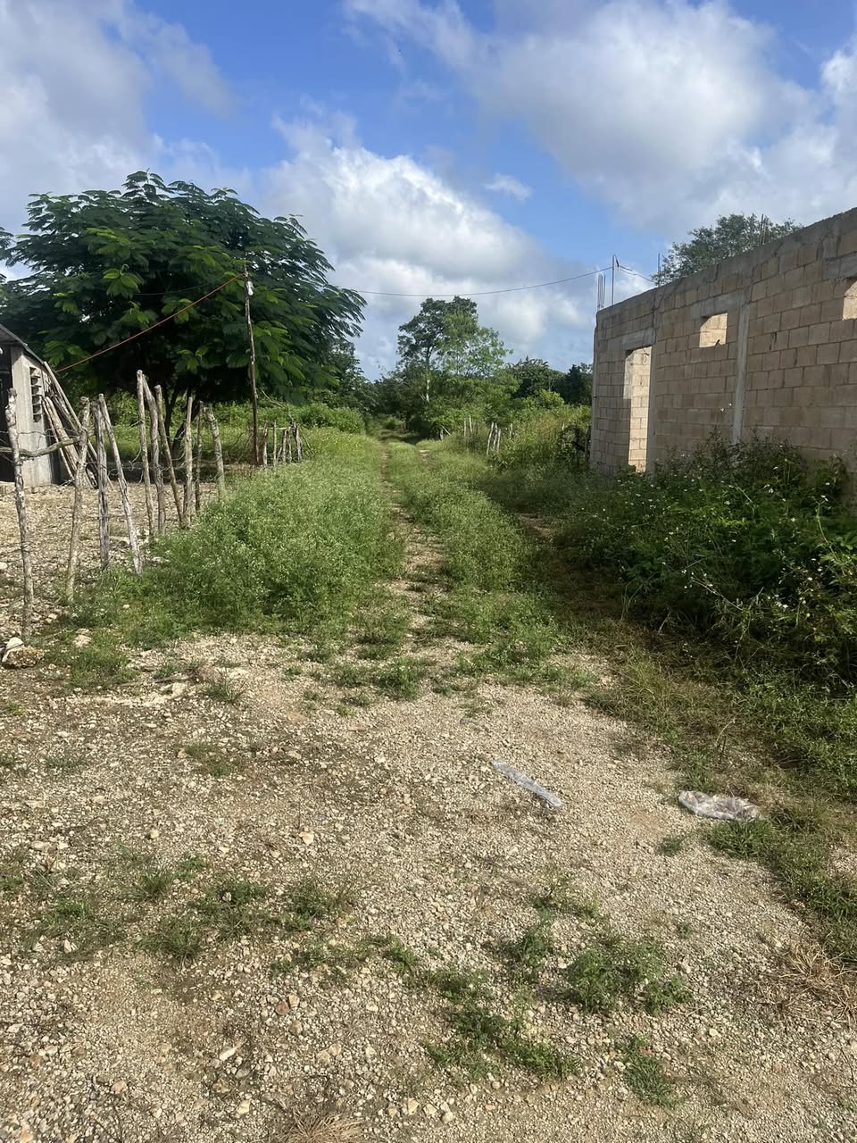 Lote en Venta Colonia San Francisco